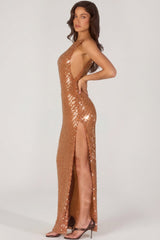 Embellished Maxi Dress in Bronze