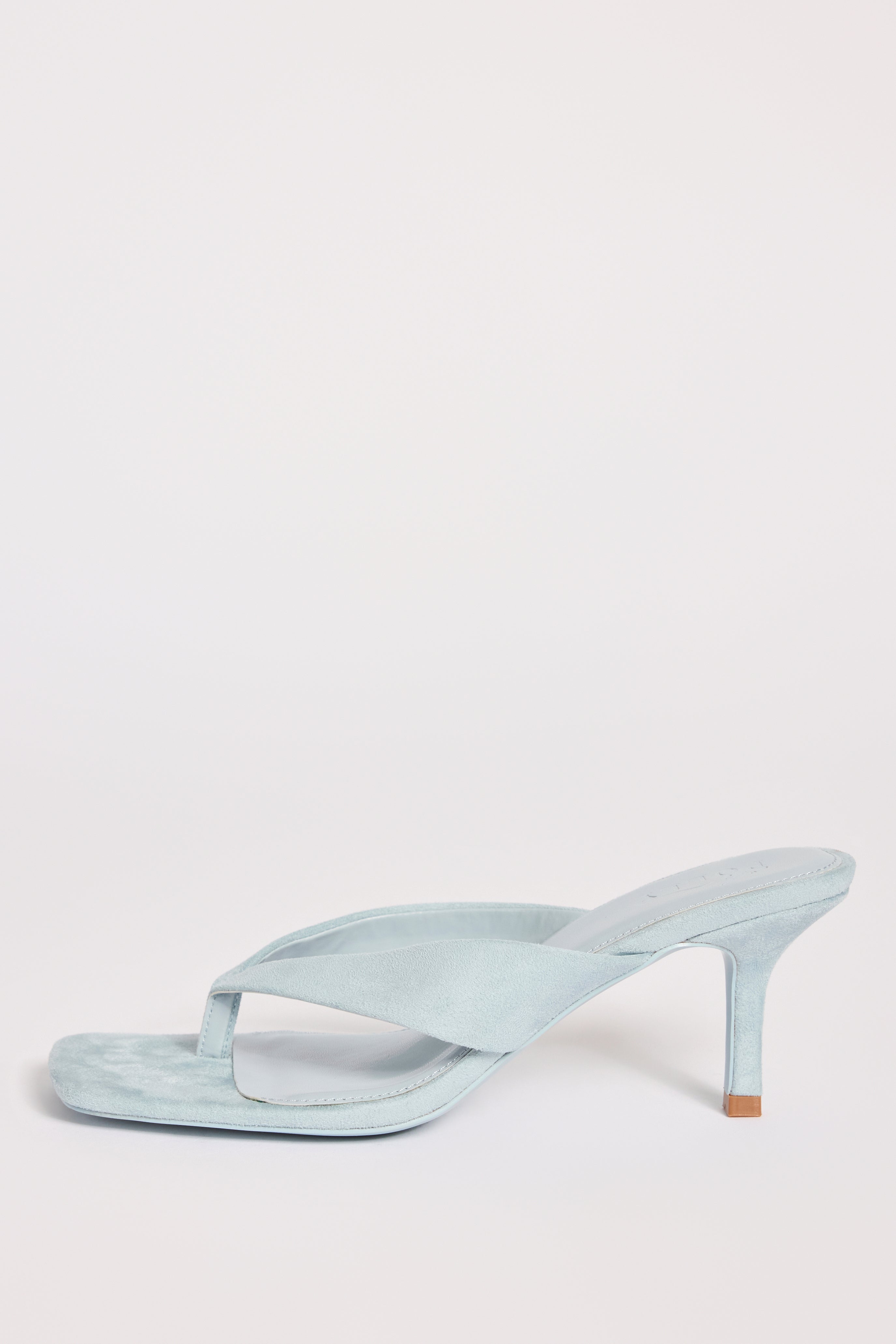 Heeled Thong Sandals  in Arctic Blue